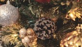 PRAZNIČNA ČAROLIJA NE MORA DA SE ZAVRŠI BACANJEM ŽIVE JELKE: Evo kako da preživi do sledeće godine