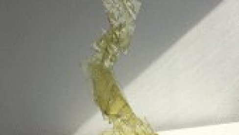 SKULPTURALNA FORMA: Izložba Andreje Prokopijević u Galeriji FLU u Beogradu