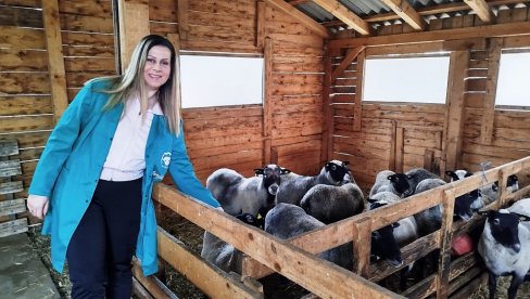CARICE SA PEDIGREOM:  Diplomirana pravnica Marija Rajić već četvrtu godinu nadomak Paraćina gaji ovce romanovske rase