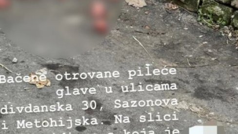 БАЦИЛИ ОТРОВАНЕ ПИЛЕЋЕ ГЛАВЕ: Инцидент на Врачару, грађани забринути за безбедност љубимаца