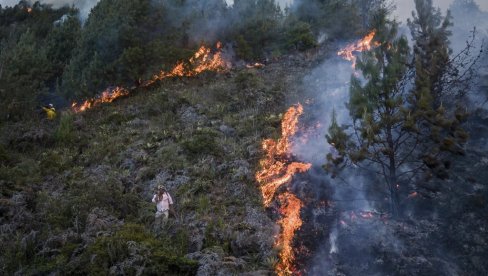 ВЕЛИКИ ПОЖАР КОД ШИБЕНИКА: Ватрену стихију гаси више од 50 ватрогасца