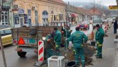 ULICA VUKA KARADŽIĆA JOŠ ZELENIJA: Nastavljena sadnja stepske višnje u čuvenoj ulici u Vršcu
