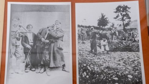VATIKAN I PAPA DOBILI POTRESNA SVEDOČANSTVA: U akciji Pavelićevog dželata Viktora Tomića 1942. godine ubijeno 6.000 Srba