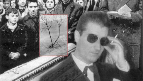 ЗАШТО ГА ЈЕ МАЈКА САХРАНИЛА У СТАКЛЕНОМ КОВЧЕГУ? Смрт песника Бранка Миљковића - нашли га обешеног о дрво у центру Загреба