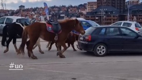 OVO JOŠ NIJE VIĐENO: Provozao automobil kroz Užice, a za njega vezao dva konja i jednog ponija (VIDEO)