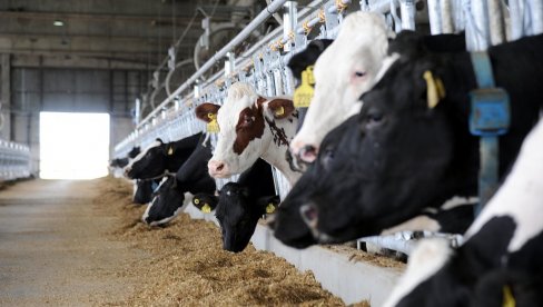 BRISAĆE  LAŽNU STOKU IZ REGISTRA:  Da bi se sprečile zloupotrebe sa subvencijama u stočarstvu