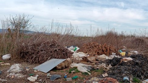 (NE) STREPE OD ZARAZE: Problem nesavesnog odlaganja životinjskog otpada na teritoriji Iriga