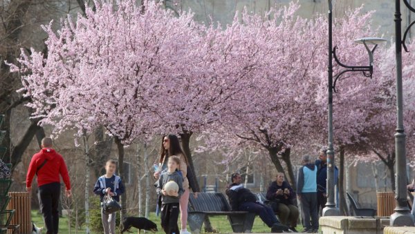 БЕХАР ПРОБЕХАРАО НА СМЕДЕРЕВСКОМ КЕЈУ: Мирис пролећа шири се градом (ФОТО)
