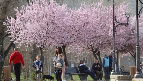 BEHAR PROBEHARAO NA SMEDEREVSKOM KEJU: Miris proleća širi se gradom (FOTO)