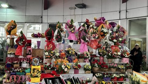 РУЖА 300 ДИНАРА: На пијаца цвећа у Крњачи богата понуда, а цене шаренолике (ФОТО)