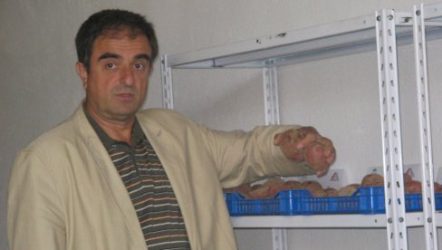 UVOZ KROMPIRA JURI - REKORD: Proizvođači krtole u Srbiji upozoravaju da je podbacio rod zbog suše
