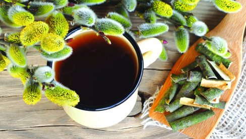 KORA VRBE DA UMINE BOL: Savet travara - prirodni analgetik i antiseptik, efikasna kod reume i problema sa zglobovima