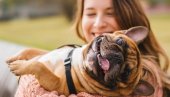 СТУДИЈА ПОКАЗАЛА: Власници паса су срећнији од других