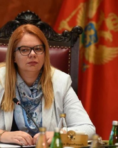 MAJA OSVETLALA OBRAZ: Milan Knežević o odluci predstavnice Crne Gore u SE da glasa protiv preporuke za poziv tzv. Kosovu