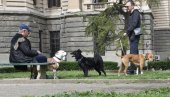 У ПАРК ИХ ВОДЕ БЕЗ КОРПЕ И ПОВОЦА: Поједини власници опасних паса не поштују одлуку о шетњи љубимаца