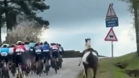 НАЈЛЕПШИ ПОТЕЗ ДАНА: Коњ је кренуо да улеће међу бициклисте усред њихове трке, а онда се десило - ово (ВИДЕО)