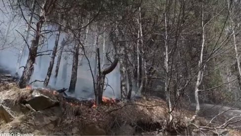 ПОЖАР У ГРЧКОЈ: Ватрогасци се већ трећи дан боре са пламеном на планинама Пијерија (ВИДЕО)