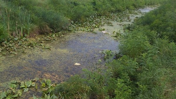 АКЦИЈА ГРАДА ПОЖАРЕВЦА: У пет села чисте се водотокови за 8,7 милиона