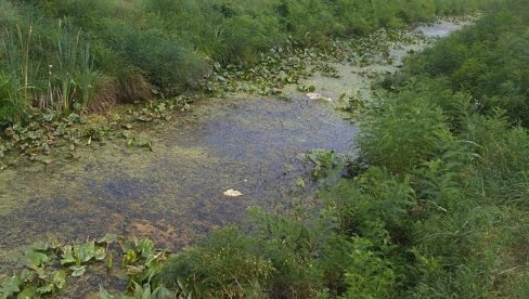 AKCIJA GRADA POŽAREVCA: U pet sela čiste se vodotokovi za 8,7 miliona