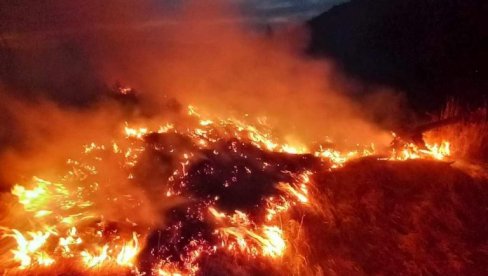 DRAMA U NACIONALNOM PARKU DURMITOR: Vatra ugrozili biljni i životinjski svet