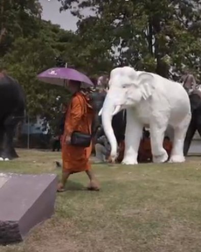 TAJLANDSKA NOVA GODINA : Stotine uživaju u festivalu Songkran i tradicionalnoj borbi sa slonovima (VIDEO)