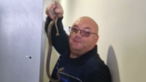 ВЛАДИЦА ИЗ ОРМАРА ИЗВУКАО ЗМИЈУ ДУГУ ЦЕО МЕТАР: Невероватан случај у Врању - Чују се женски врисци, камера све снимила (ВИДЕО)