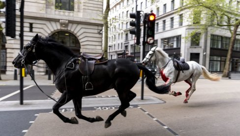 ДЕТАЉИ ДРАМЕ У ЛОНДОНУ: Познато шта се дешава са крвавим коњима који су јурили Лондоном (ВИДЕО)
