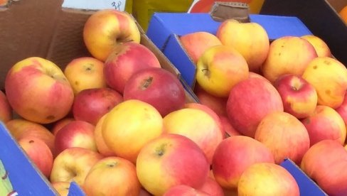 HAPŠENJE U BEOGRADU: Prevarila poljoprivrednika za jabuke
