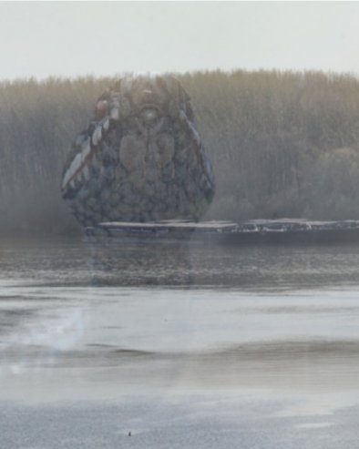 PANČEVAC I ANAKONDA: Zmija isplivala iz reke (FOTO)