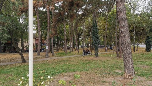 НАПАДАЧ ИЗ ПАРКА У ПАНЧЕВУ У КУЋНОМ ПРИТВОРУ: Судија за малолетнике данас донео нову одлуку