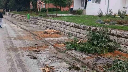 ZBOG SEČE STABALA, OSUDE SA SVIH STRANA: Rekonstrukcija glavne ulice u Gacku izazvala negodovanje stanovnika