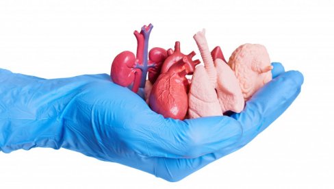 БУДИ БОЉИ ЧОВЕК ПОСТАНИ ДОНАТОР: Обележен национални дан завештања органа