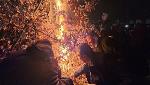 BADNJI DAN - KAKO SE PIŠE U ČESTITKAMA? Izbegnite greške u porukama - Ovo je pravopisna zamka!