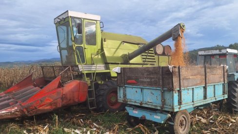 СТИЖУ СУБВЕНЦИЈЕ Важна вест за пољопривреднике у Јагодини: Проверавајте електронске сандучиће