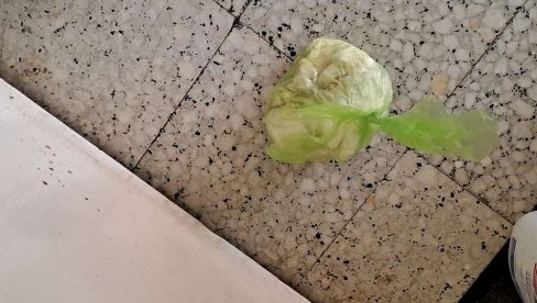 NE ČISTE ZA SVOJIM PSIMA: Vlasnici kućnih ljubimaca često ne brinu o higijeni stambenih zajednica