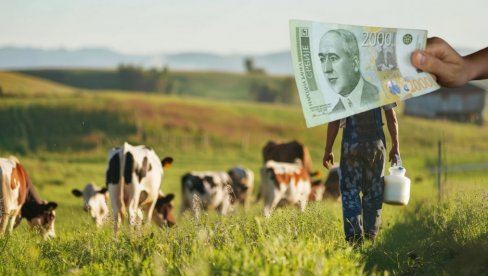 MINISTARSTVO POLJOPRIVREDE SUBVENCIONIŠE GAZDINSTVA: Evo šta su poljoprivrednici u obavezi da prilože