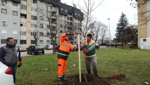 ВРАТИ ДАХ ПРИРОДИ-ПОСАДИ ДРВО : Инвеститори у Крагујевцу у обавези да посаде нове саднице