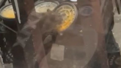 ЛЕГЛО ЗАРАЗЕ: Пацов на Филолошком факултету, блокадери не бацају смеће (ВИДЕО)