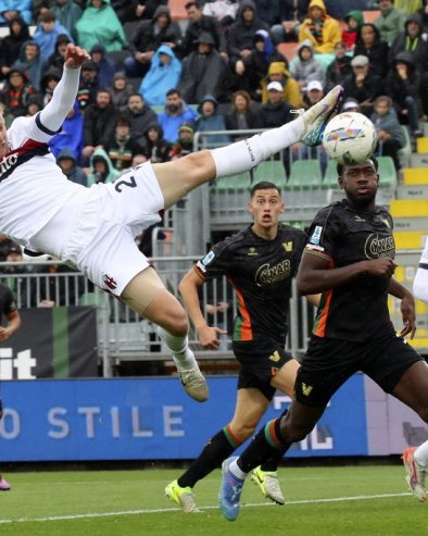 ХРТОВИ СЕ ВРАЋАЈУ У ПОБЕДНИЧКУ СТАЗУ: Мастифи не чувају добро своје двориште