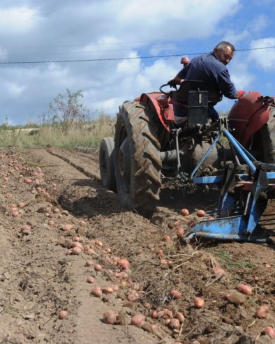 VUČIĆ O ZAHTEVU POLJOPRIVREDNIKA: Nastavićemo da ulažemo u poljoprivredu, nemoguće da ukinemo uvoz svega