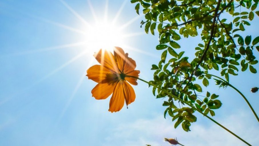 СТИЖЕ НАМ ПРОЛЕЋНО ВРЕМЕ: Ево када можемо очекивати 20 степени