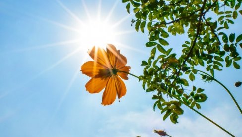 STIŽE NAM PROLEĆNO VREME: Evo kada možemo očekivati 20 stepeni