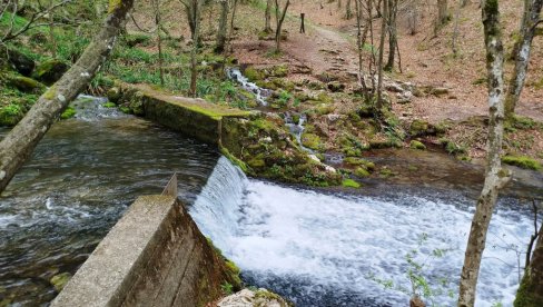 VOLONTERI ČISTE GRZU: Ekološka akcija „Našeg staništa“ kod Paraćina