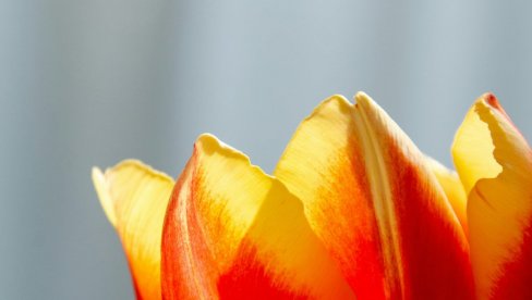 ЗА БРАЊЕ ЛАЛА КАЗНА 13 ХИЉАДА ЕВРА: Нови закон у Турској ступио на снагу (ФОТО/ВИДЕО)