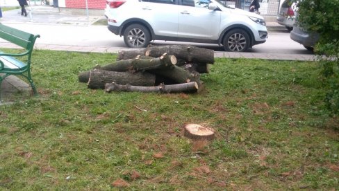 UREĐENJE ZELENILA: U centru grada kosi se trava i orezuje drveće