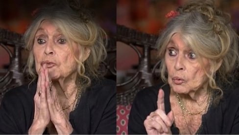 ББ СУ БИЛИ ИНИЦИЈАЛИ ЗА СЕДМУ УМЕТНОСТ: Шта је за Новости говорила легендарна Брижит Бардо која је у Француској преминула у 91. години