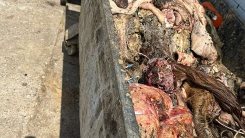 AKCIJA VETERINARSKE INSPEKCIJE: Kod Čačka otkrivena nelegalna klanica, treća u nizu velikih zaplena hrane sumnjivog porekla