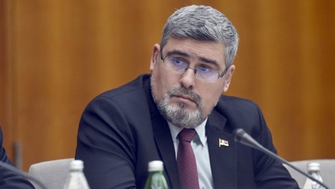 BESKRAJNO SU RUŽNE KROKODILSKE SUZE KOJE PROLIVA MARINIKA TEPIĆ Starović: Ne sećam se da je ikada uputila ijednu reč podrške Ivanoviću