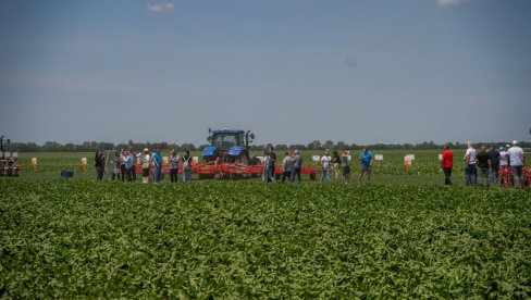 Суноко организовао традиционални Дан поља шећерне репе