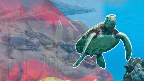 VELIKO OTKRIĆE NA ADI BOJANI: Turisti zamoljeni da ne prilaze ovom području